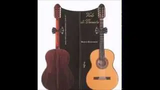 Di&aacute;logo das Cordas by Marcus Biancardini   Viola de Gravata II