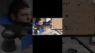 Pellet damage VS Accuracy