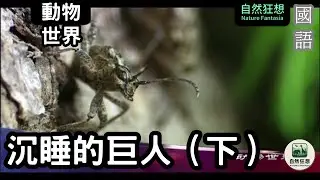 [國語高清] 沉睡的巨人（下）：大地深處的沉默守護者 #沉睡的巨人 #巨人傳說 #沉睡的巨人 #巨人傳說 #神話與歷史 #自然奇觀 #探索未知