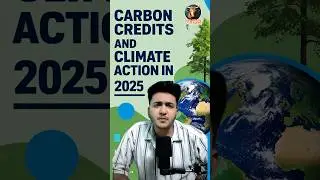 Carbon Credits Explained in 2025 | How They Help Fight Climate Change 🌍 | Vygr