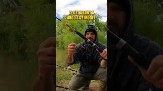 Carp fishing rods and reels