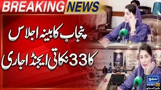 Punjab Cabinet Ijlas Ka 33 Nukati Agenda Jari | Breaking News | Suno News HD