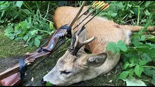 Косуля с длинным луком 2021 - Tales From the Willows - Traditional Bowhunting - Tradlife - bukkejagt