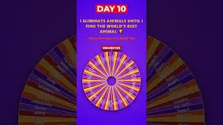 World's Best Animal Tournament 🦁 Day 10 #shorts #fyp #viral #viralvideo #viralshorts