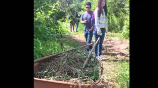 What is the Learning Gardens Laboratory?