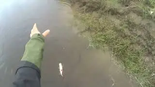 Рыбалка / fishing