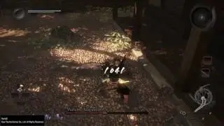 Nioh - Marume Nagayoshi / Optionaler Boss