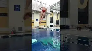 Satisfying Slow Motion Dive!