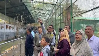 Bird Watching Moments at Safari Park