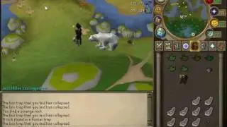 Hunting grenwalls