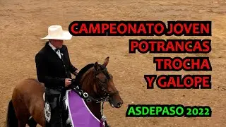 CAMPEONATO JOVEN POTRANCAS ASDEPASO 2022 #trochaygalope #yeguas #trocha #trote
