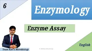 Enzyme Assay | Enzymology