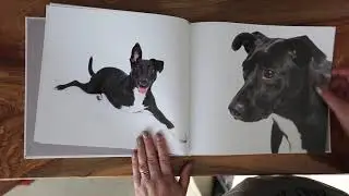 BookOverview