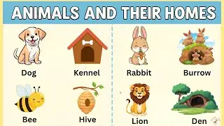 Animals and Their Homes | Learn Animal Homes for Kids | Animals and Their Homes with Pictures