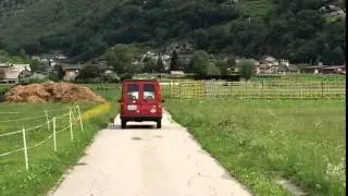 Dog walking made in Switzerland!