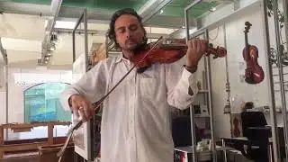 Luthier Luca Bastiani
