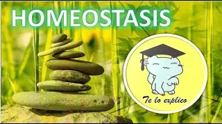 LA HOMEOSTASIS - EL EQUILIBRIO INTERNO DE NUESTRO CUERPO