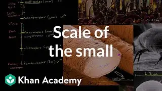 Scale of the small | Scale of the universe | Cosmology & Astronomy | Khan Academy