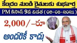 PM Kisan 9th Installment Amount Released Date Announced By PM Modi | PM Kisan Samman Nidhi 9th Insta
