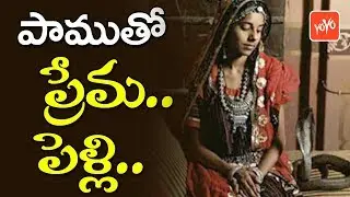 అమ్మాయికి పాముతో ప్రేమ.. పెళ్లి... | A Young Girl Loves and Married a Snake | YOYO TV Channel