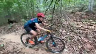 Santa Cruz Chameleon Carbon