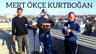 MERT KURTBOĞAN