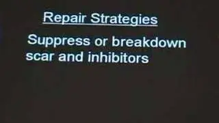 Dr. Stephen Davies @ Working 2 Walk - Part 2