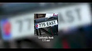 7.75 EAST - COMFORTABLY NUMB (COVER)
