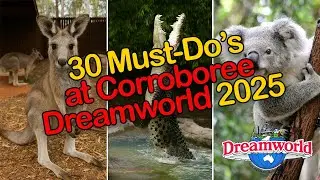 30 Must-Do Experiences at Corroboree Dreamworld 2025 🐨🦘 | Wildlife, Culture & Family Fun!