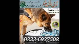 #armydogcenterrawalpindi 0333-6937508(5)