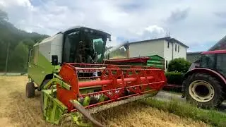JĘCZMIEŃ 2025||CLAAS AVERO 240||GR DADAK