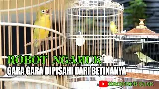 ROBOT DIPISAH DARI SELIRNYA NGAMPUK NGAMUK||KECIAL SPEED 2022||POWER KECIAL CORETAN||BROTHER'S CIAK