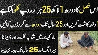 سید اعجاز احمد رضوی سے جانتے ہیں کہ دور حاضر میں ہم اس فضل سے کیسے فائدہ لے سکتے ہیں