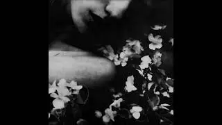 CATAFALQUE -  LUST AND INNOCENCE (2005)