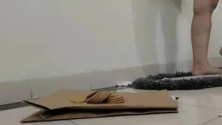 Crushing crunchy biscuits with heels #crushingfood #heelsvideos