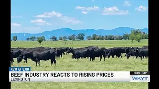 Lexington-area beef producers express concern about proposal to import foreign cattle