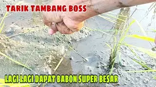 Spot sawah ini memang gak ada obat !! Ukuran belutnya jumbo jumbo