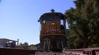 Ride River Fox Train