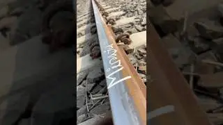 Train 🚂 vs Mirajul 😱What happened next..?