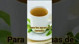 cedr&oacute;n planta medicinal qu&eacute; cura muchos males #cedron