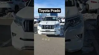 2019 Toyota Land Cruiser Prado Price at the Ulaanbaatar Auto Market