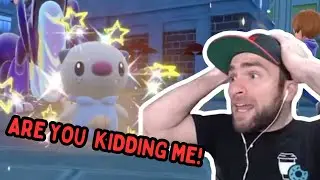 The RIDICULOUS Shiny Luck DOESN'T STOP 🤯🦦 | Oshawott in 40 Eggs