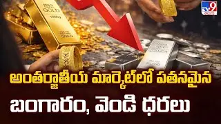 అంతర్జాతీయ మార్కెట్ లో పతనమైన బంగారం, వెండి ధరలు | Historic Crash In Global Market Today! | TV9