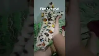 Filter vs real