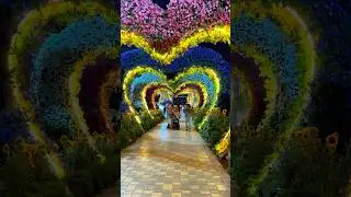 Miracle Garden Dubai at night, it glowing. #relaxingmusic #adventure