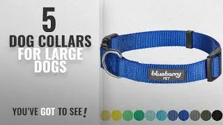 Top 5 Dog Collars For Large Dogs [2018 Best Sellers]: Blueberry Pet 32 Colors Classic Dog Collar,