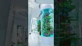 GIANT Cylinder Aquariums at a Shopping Mall 🛍️🐠
