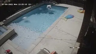 Pool Time-lapse Contractor Backed Out! Took Over A Year! North Texas Gunite Pool Build.