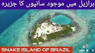 Snake Island of Brazil l Documentary in Urdu / Hindi