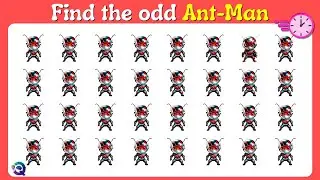 Spot the Different One! | Odd One Out Challenge for Everyone